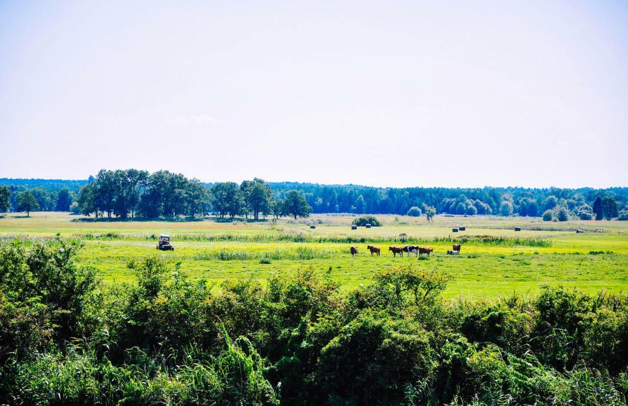 Zwirowa Gora - Domki Nad Narwia Tykocin Buitenkant foto